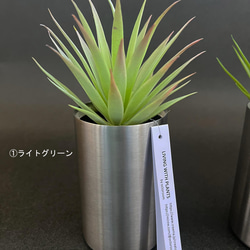 ☆Sale☆多肉植物・フェイク・ステンレスの器 2枚目の画像