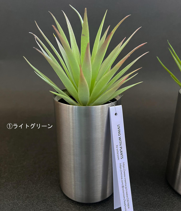 ☆Sale☆多肉植物・フェイク・ステンレスの器 2枚目の画像