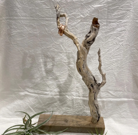 雑貨　ウッド　インテリア　オブジェ　流木 インテリア ウッド おしゃれ ナチュラル 雑貨 オブジェ リビング 玄関