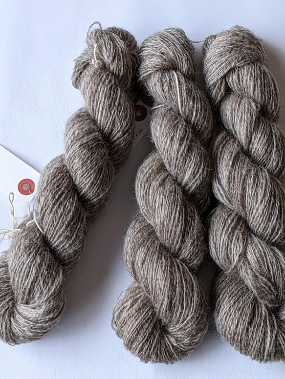 めいめいで毛刈り 手紡ぎ毛糸 レディグレイ 55g/286m/5番手 NZ産 