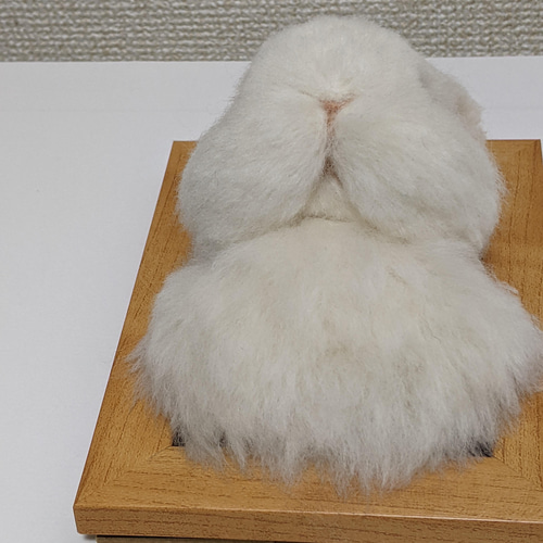 ネザーランドドワーフ（うさぎ）フロスティ フレーム 羊毛フェルト