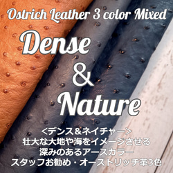 オーストリッチ革 サドルマット 3色セット(Dense ＆Nature) No.CM0103 1枚目の画像