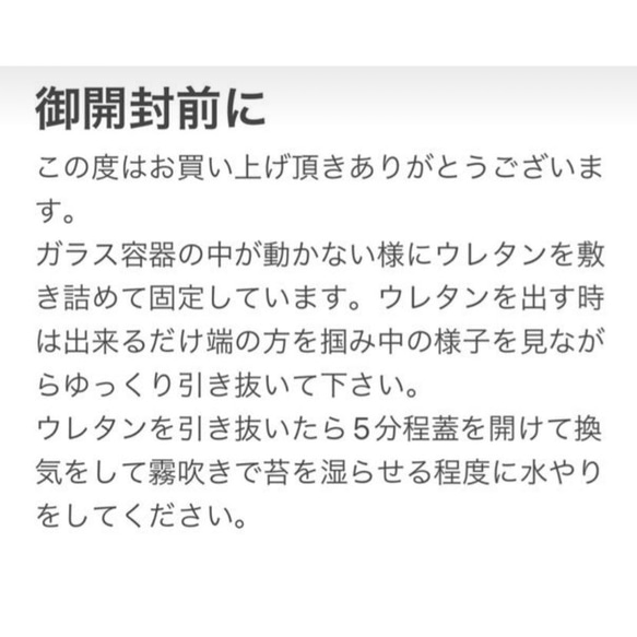 【 試験管の中の～苔テラリウム～ 】 3枚目の画像