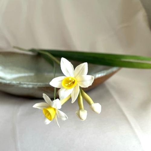 華子 日本水仙7セット 国華園オンラインショップ / スイセン 球根