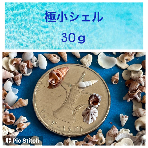 極小シェル30ｇ 1枚目の画像