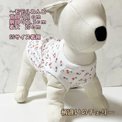 【NEW】 接触冷感タンクトップ フルーツ柄 【スイカ】 Dog 犬服 ドッグウェア 夏 クール 5枚目の画像