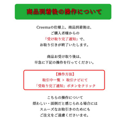 不思議のメダイ・奇跡のメダイのブックマーカー(しおり)【テラヘルツ鉱石＆ルビーorサファイア使用】 11枚目の画像