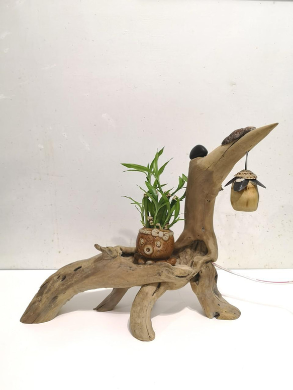 叼著］花架花座展示架盆栽架多肉植物立燈檯燈桌燈漂流木燈夜燈氣氛燈