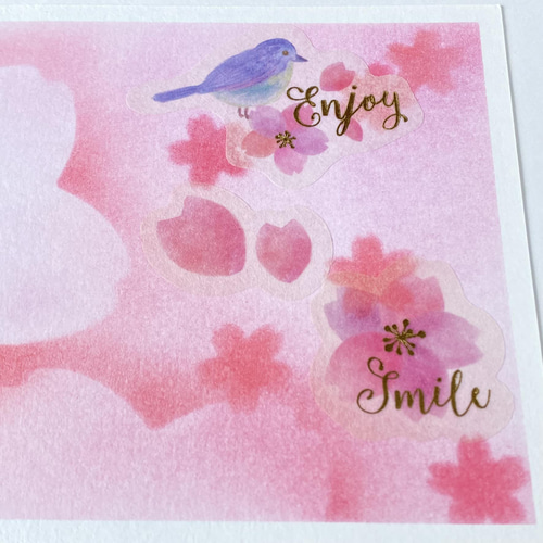 桜と小鳥のメッセージカード 』 パステルアート原画 メッセージカード
