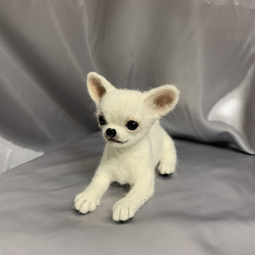 羊毛フェルト　スムースコートチワワ イケワン✨️】チワワスムースコート【鼻先からおしりまで10.5cm