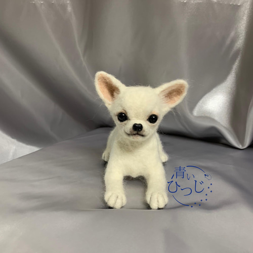 羊毛フェルト　スムースコートチワワ 羊毛フェルト チワワ スムース 羊毛フェルト 青いひつじ 通販 13795063