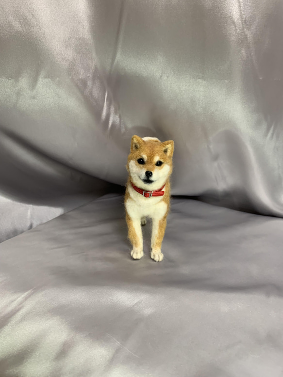 羊毛フェルト 柴犬 (タヌキ顔) 羊毛フェルト 青いひつじ 通販 13795083