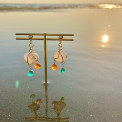 鹿の角アクセサリースタンド その他家具 翡翠 /Crafty Soda 通販