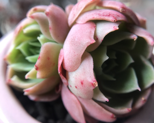 beb794ff999dbb99e1b52d4d041b20