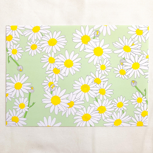 マーガレット デザインペーパー A4 包装紙・ラッピングペーパー