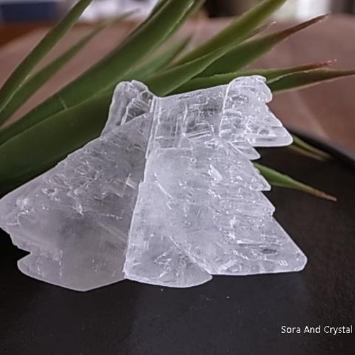 フィッシュテールセレナイト MY137 セレナイト フィッシュテール