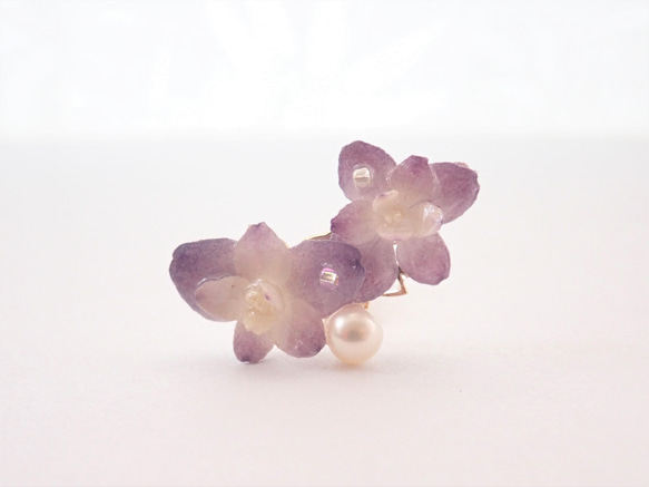 伊豆原產八重繡球　乾燥花✕淡水珍珠　樹脂加工耳骨夾　單隻發售　❊空郵台灣5-7天 第3張的照片