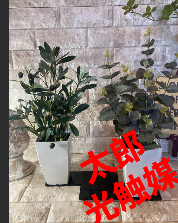 光触媒　人工観葉植物　ウォールグリーン　フェイク　フラワー　オリーブとポポラス 1枚目の画像
