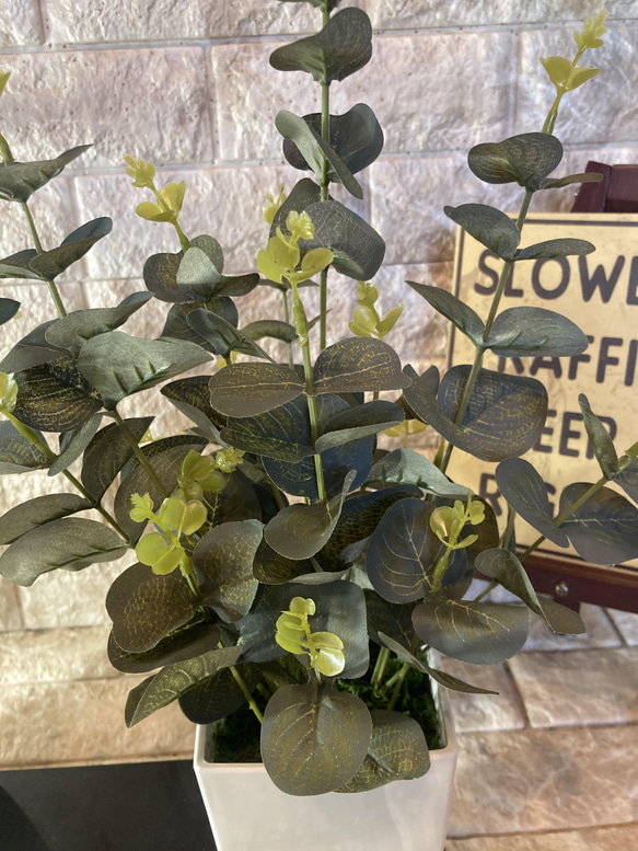光触媒　人工観葉植物　ウォールグリーン　フェイク　フラワー　オリーブとポポラス 6枚目の画像