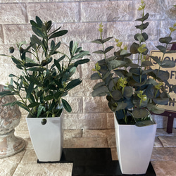 光触媒　人工観葉植物　ウォールグリーン　フェイク　フラワー　オリーブとポポラス 2枚目の画像