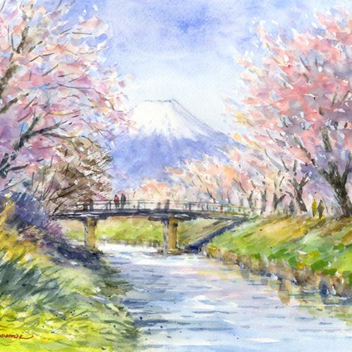 水彩画原画 富士山と桜・忍野村 ＃492 絵画 syoumei 通販