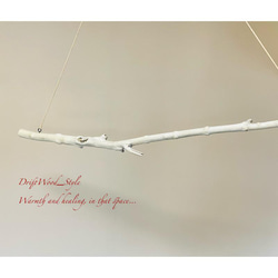 流木インテリア 個性的な造形の枝が魅力の大型ハンガーラック 北欧 衣装掛け ハンギング 吊り下げ ハンガーポール 癒し 7枚目の画像