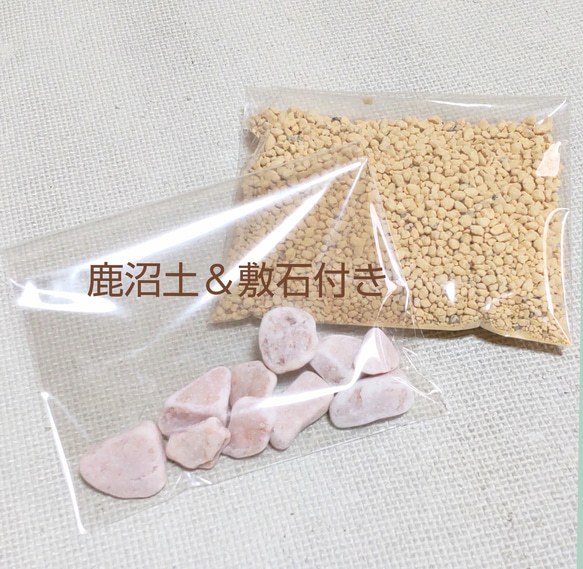  第6張的照片