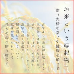 ギフト お米 結婚内祝い 出産内祝い 米寿 2合2袋入り 令和5年度コシヒカリ100% メッセージカードOK 送料無料 6枚目の画像