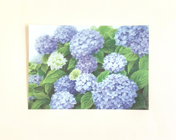 花のメモ「紫陽花（パステル）」30枚 2枚目の画像