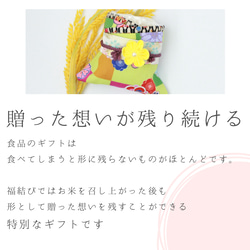 ギフト お米 結婚内祝い 出産内祝い 2合2袋入り 令和5年度兵庫県産コシヒカリ100% メッセージカードOK 送料無料 2枚目の画像