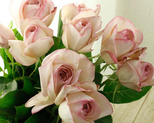 8fc28bfacd259237c9a5978efe92d9