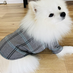 【型紙】犬服　スタンドカラー半袖シャツ 7枚目の画像