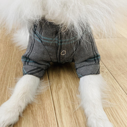 【型紙】犬服　スタンドカラー半袖シャツ 5枚目の画像