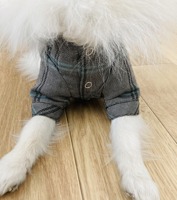 【型紙】犬服　スタンドカラー半袖シャツ 5枚目の画像