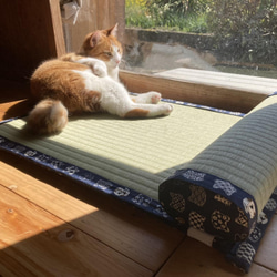 くまる　アンティーク風　犬猫用ベッド・台座、クッション付き（ベージュ色） sum_re.jpg?fitin=272:272