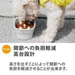 【送料無料】名入れ ゆるかわ 早食い防止 高台フードボウル 【大】 pet123 6枚目の画像