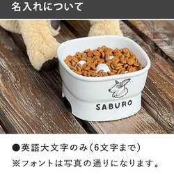 【送料無料】名入れ ゆるかわ 早食い防止 高台フードボウル 【大】 pet123 14枚目の画像