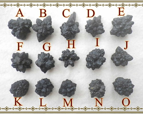 先着で選べる！Mサイズ到着！ミネラル・マリファナ！？☆プロフェシー