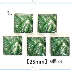 E276-1 カボション ボタニカル デザイン【 25mm 】5個セット ハンドメイド 立体 パーツ スクエア 正方形 1枚目の画像