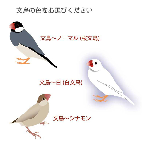 【文鳥】レザースタイルマルチケース 大きく開閉する！ 小物入れ ピルケース アクセサリーポーチ 3色 4枚目の画像