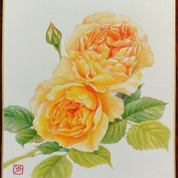 黄薔薇“グラハム・トーマス” 水彩画　色紙　原画 (中) 送料無料 1枚目の画像