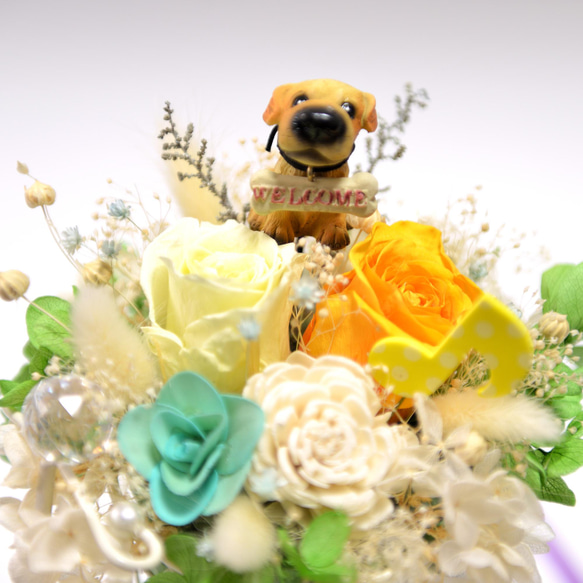 ワンちゃんと音楽が好きの方へ 花カゴのフラワーアレンジ 犬 ドッグ 11枚目の画像