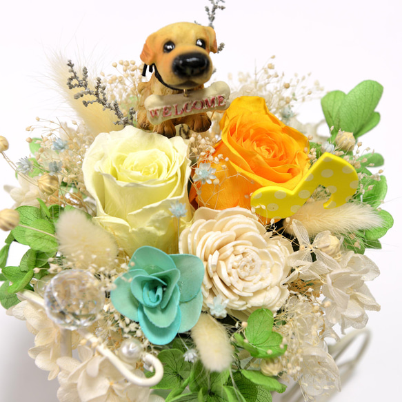 ワンちゃんと音楽が好きの方へ 花カゴのフラワーアレンジ 犬 ドッグ 9枚目の画像