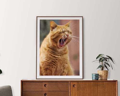 アートポスター 猫(あくび) 写真・グラフィック アートポスター店