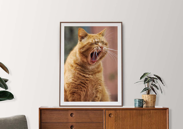 アートポスター 猫(あくび) 写真・グラフィック アートポスター店