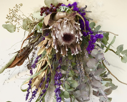 新芽の美しいユーカリ香るプロテアのコロンとしたナチュラルスワッグ 0256c81aebb0448079b4d1fc5666a2