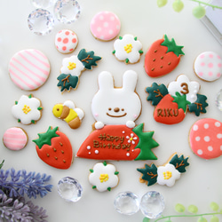 うさぎ　【アイシングクッキー】　オーダー　誕生日　いちご　赤　女の子向け　通販 2枚目の画像