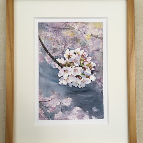 アート【手描き水彩画 原画】 川面に揺れて-目黒川の桜- 絵画