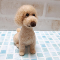 トイプードル 羊毛フェルト manahata 通販 13808896｜Creema(クリーマ)