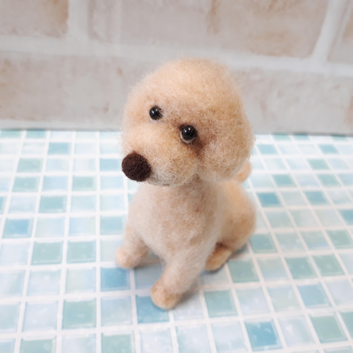 トイプードル 羊毛フェルト manahata 通販 13808896｜Creema(クリーマ)